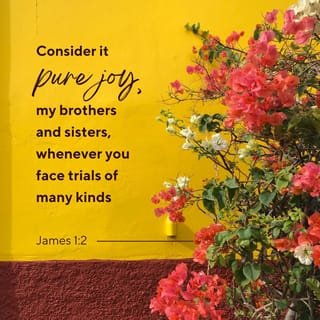 Verse of the Day - James 1:2-3, The Bible App