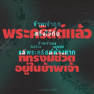 Бала анусқа заттарды енгізеді Желідегі иіскеу порно