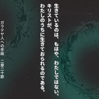 新約聖書注解 ガラテヤ人への手紙 （リパブリックス）（単行本（ソフトカバー）） ガラテヤ人への手紙 (ティンデル聖書注解) | R・アラン・コール