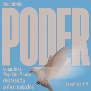 Hechos 1:8 pero recibiréis poder, cuando haya venido sobre vosotros el  Espíritu Santo, y me seréis testigos en Jerusalén, en toda Judea, en  Samaria, y hasta lo último de la tierra. |