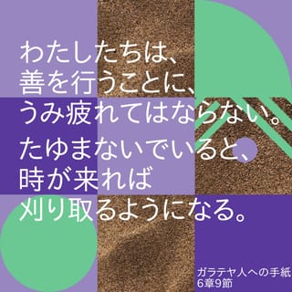 1280x1280.jpg