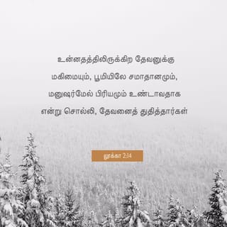 ல க க 2 8 20 அப ப ழ த அந த ந ட ட ல ம ய ப பர கள வயல வ ள ய ல தங க இர த த ர ய ல தங கள மந த ய க க த த க க ண ட ர ந த ர கள