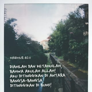 Kimga mushukimni yalashiga ruxsat berishim kerak?