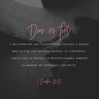 1 Corintios 10:13 Ustedes no han pasado por ninguna prueba que no sea humanamente soportable. Y pueden ustedes confiar en Dios, que no los dejará sufrir pruebas más duras de lo que 1 Corintios 10:13 Ustedes no han pasado por ninguna prueba que no sea humanamente soportable. Y pueden ustedes confiar en Dios, que no los dejará sufrir pruebas más duras de lo que