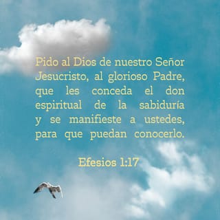 Efesios 1:16-17 no ceso de dar gracias por vosotros, haciendo memoria de  vosotros en mis oraciones, para que el Dios de nuestro Señor Jesucristo, el  Padre de gloria, os dé espíritu de