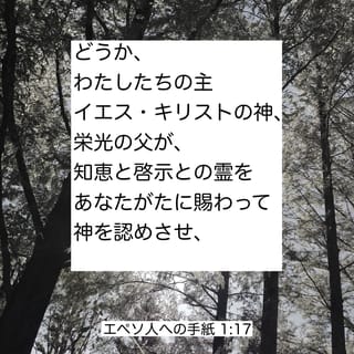 日本古代史の常識を覆す！好評ベストセラー『隠された十字架の国