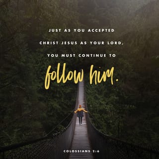 Colossians 2:6 Therefore, as you received Christ Jesus the Lord, so walk in  him | English Standard Version 2016 (ESV) | Download The Bible App Now