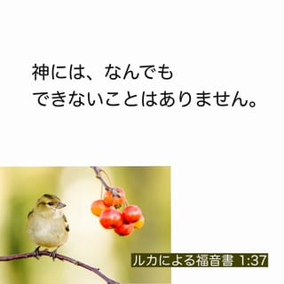 1280x1280.jpg
