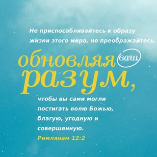 Қалың жамбас