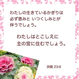 詩編 23:6 命のある限り 恵みと慈しみはいつもわたしを追う。 主