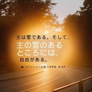 楽天市場】ローマの信徒への手紙 (現代聖書注解)の通販