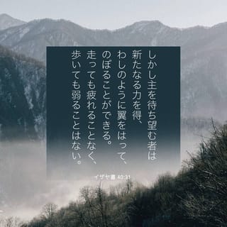 書40 イザヤ書 40:31 しかし、主を待ち望む者は新しい力がみなぎり