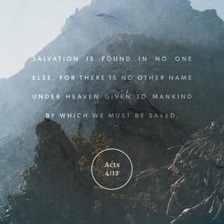 Acts 4 12 Nor Is There Salvation In Any Other For There Is No Other Name Under Heaven Given Among Men By Which We Must Be Saved New King James Version Nkjv