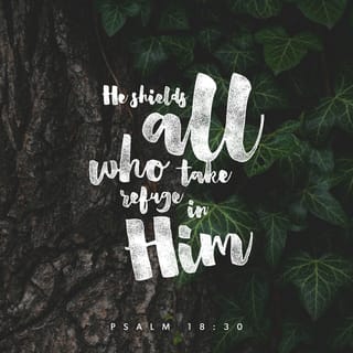 As for God, his way is perfect; the word of the Lord is flawless. He is a  shield for all who take refuge in him. ~Psalms 18:30…