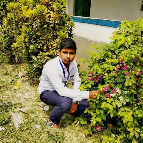 Bible profile picture for @RahulAlam
