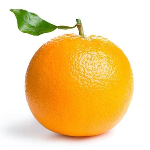 Bible profile picture for @Orang