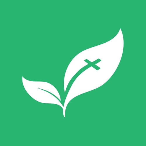 Bible profile picture for @domains