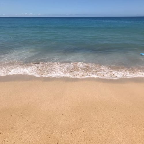 Bible profile picture for @Tania