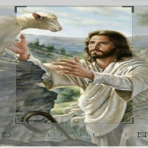Bible profile picture for @lifeguard