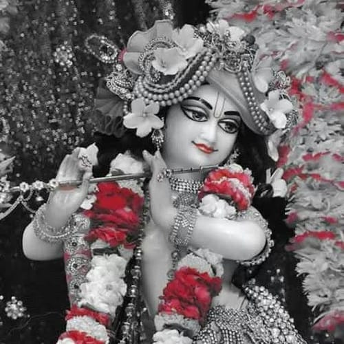 Bible profile picture for @saurabh