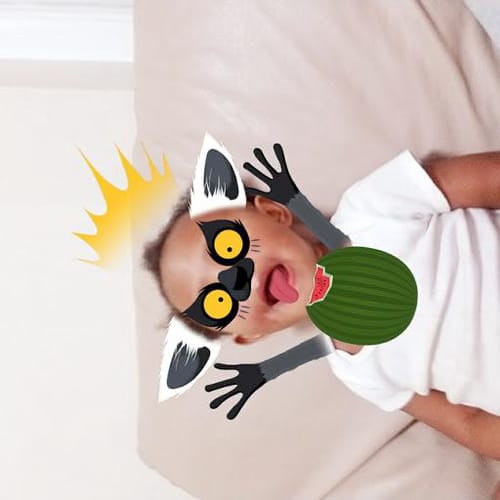 Bible profile picture for @MainMain