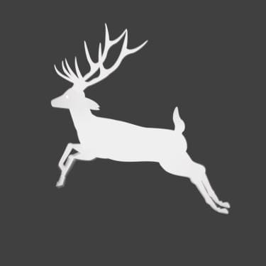 Bible profile picture for @submarine