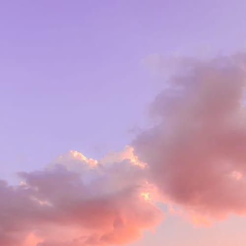 Bible profile picture for @eyebrow
