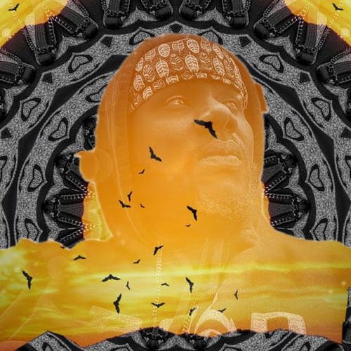 Bible profile picture for @grafton