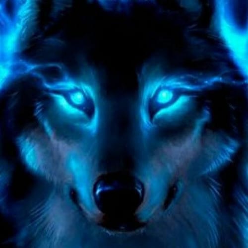Bible profile picture for @Gamespy