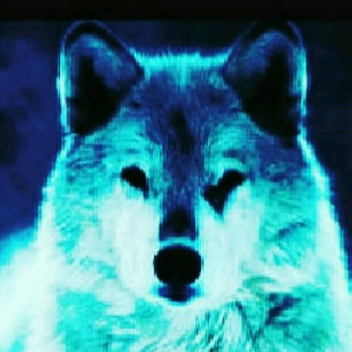 Bible profile picture for @Wolf21