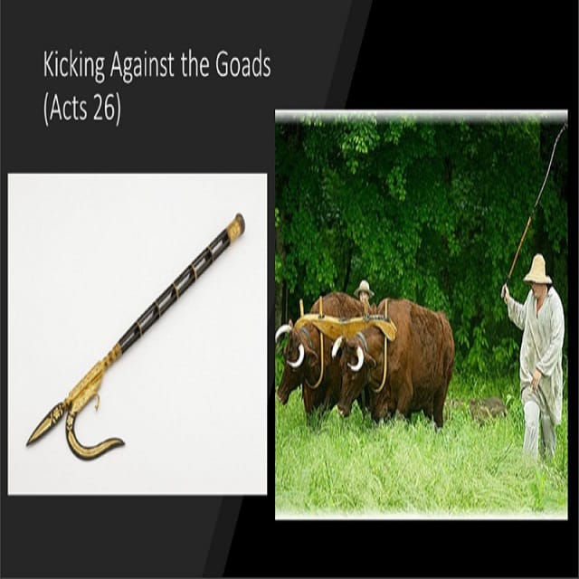 What Does Jesus Mean by “Kick Against the Goads”?