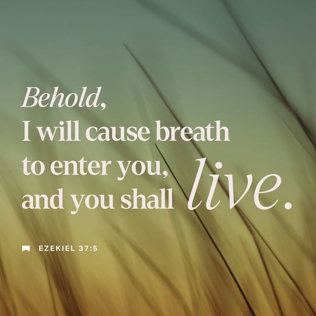 Verse of the Day - Ezekiel 37:5