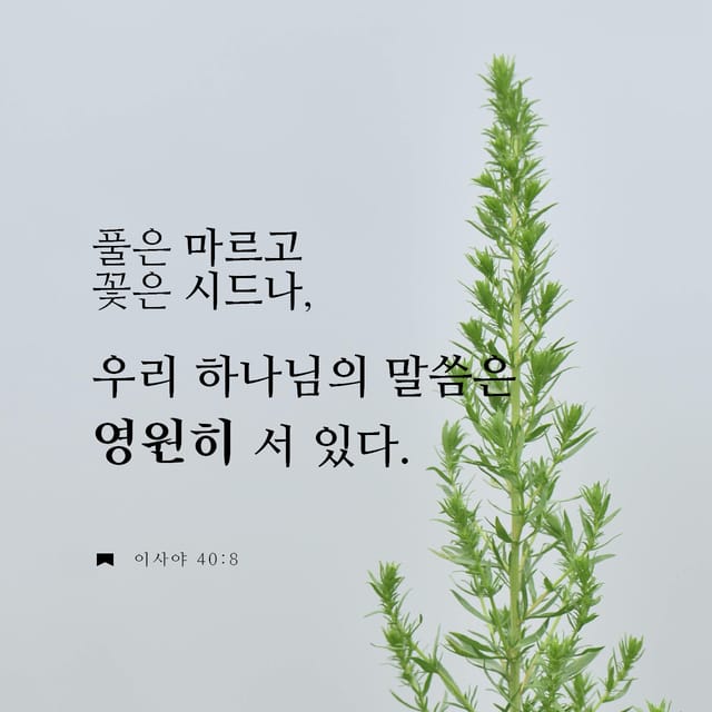 Bible Verse of the Day | YouVersion