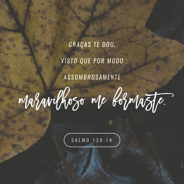 Versículo Bíblico Do Dia | YouVersion | O App Da Bíblia | Bible.com