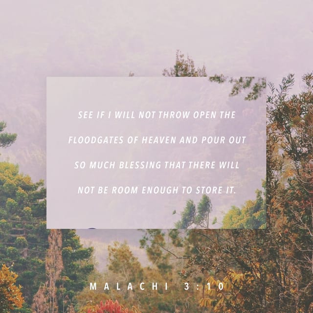 Bible Verse of the Day | YouVersion | The Bible App | Bible.com