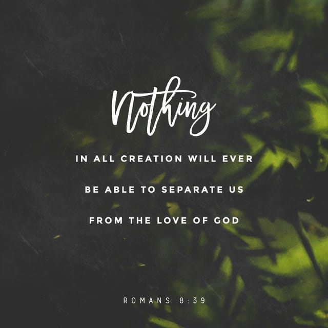 Bible Verse of the Day | YouVersion