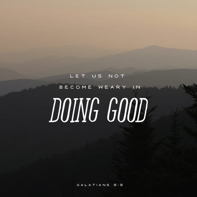 Bible Verse of the Day | YouVersion