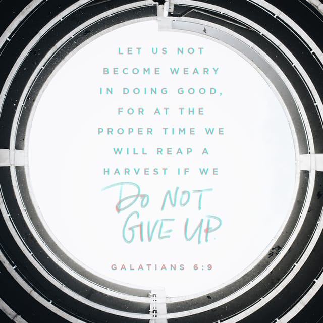 bible verse of the day | youversion Images High... Bible Verse of the Day | YouVersion