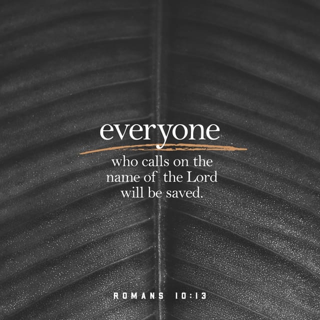 Romans 10:13 - https://www.bibl...