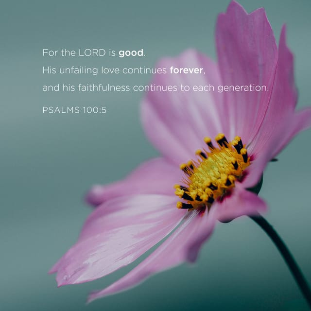 Bible Verse of the Day | YouVersion | The Bible App | Bible.com