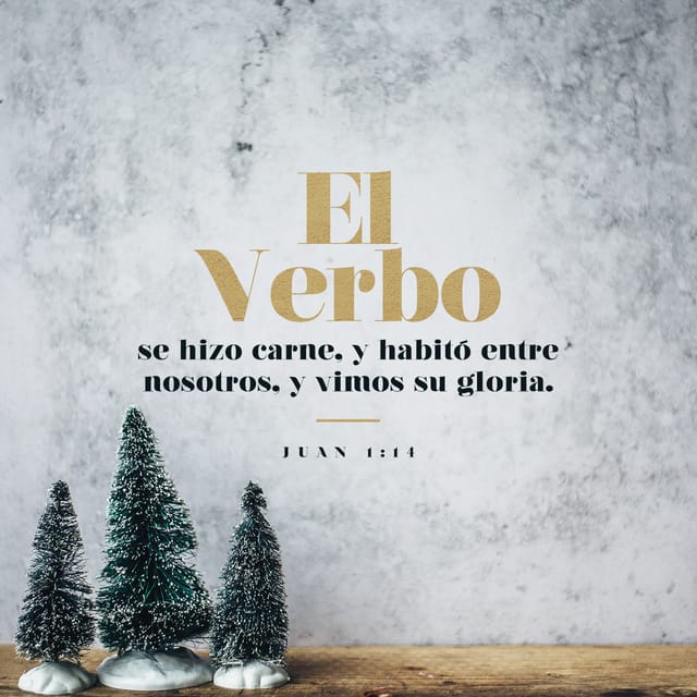 Bible Verse of the Day | YouVersion