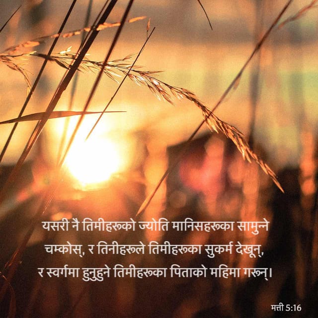 myanmar bible app download myanmar bible app download