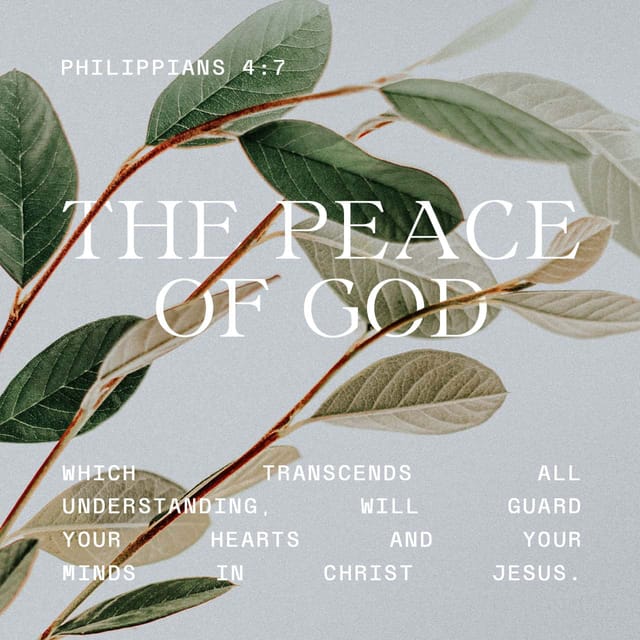 Philippians 4:7 - https://www.bibl...