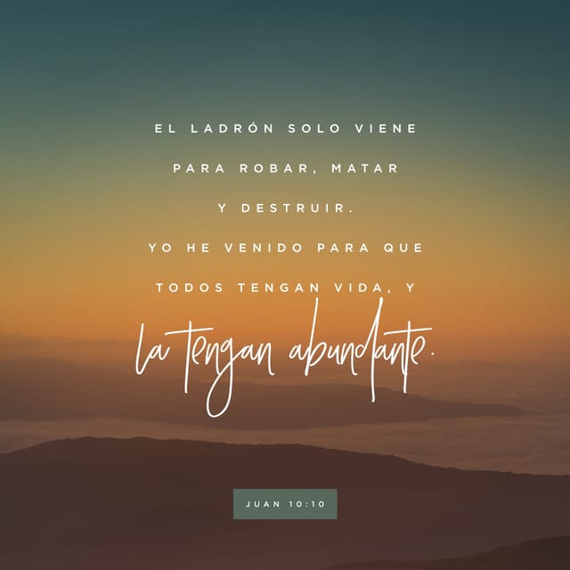 Bible Verse of the Day | YouVersion
