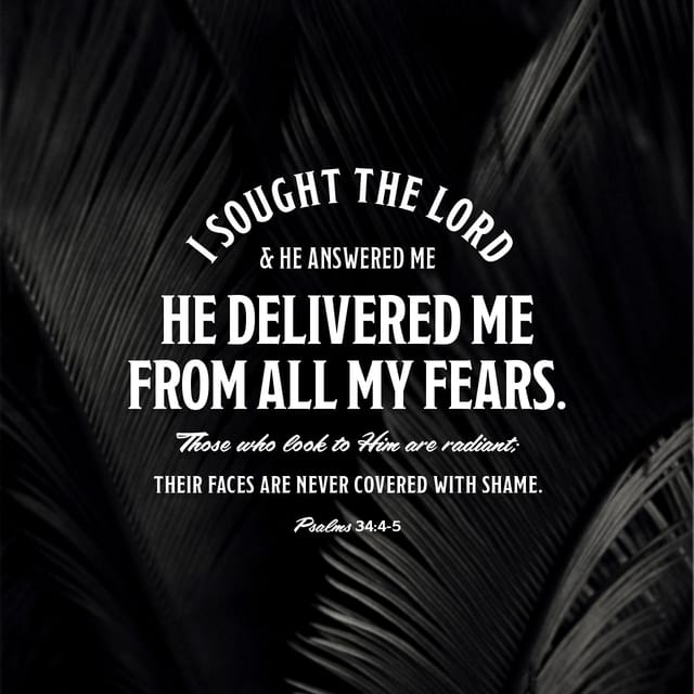 bible-verse-of-the-day-youversion-the-bible-app-bible