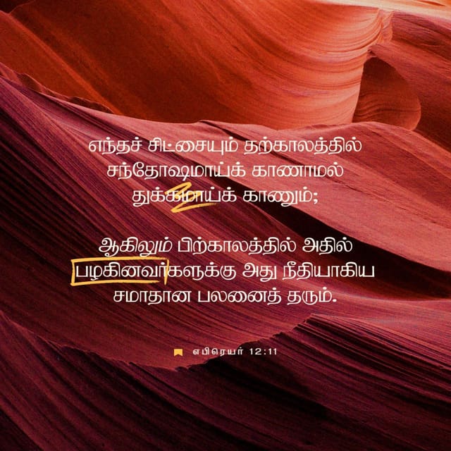 Cunnilingus dan ayol orgazmi porno video