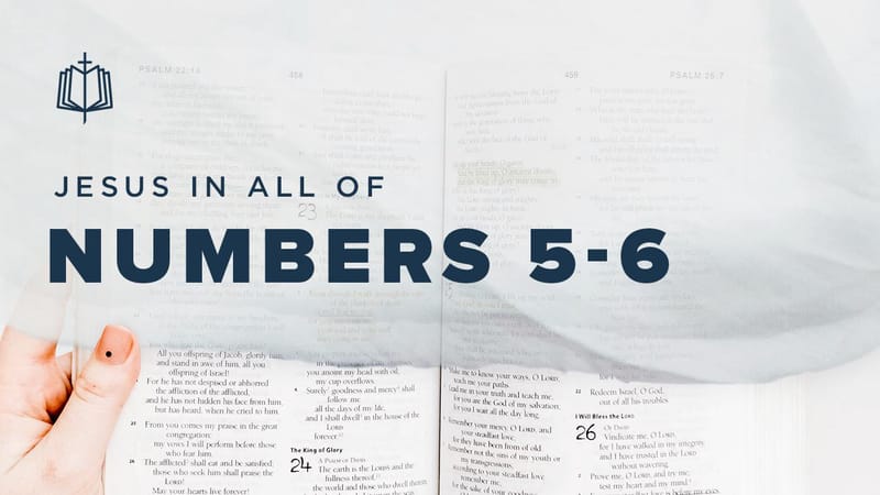 bible recap numbers 5 6