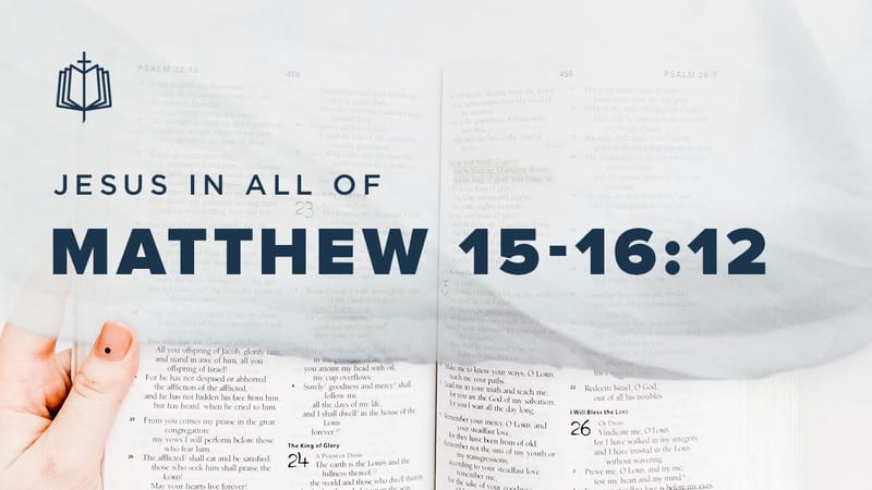 matthew 15 vs 16 niv