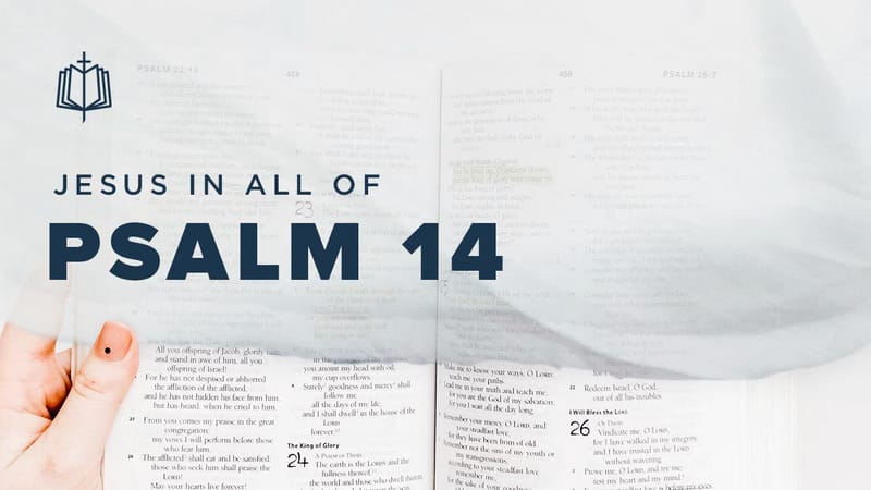 Psalm 14 | Videos | YouVersion