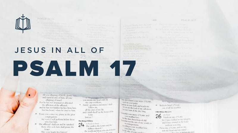 Psalm 17 | Videos | YouVersion